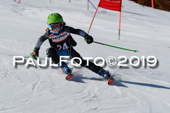 Ziener Cup WF,Finale, Quali + PSL, 30.03.2019
