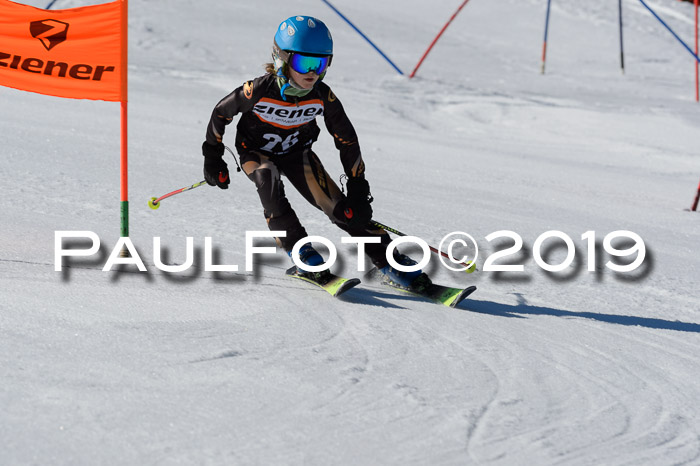 Ziener Cup WF,Finale, Quali + PSL, 30.03.2019