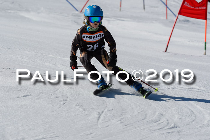 Ziener Cup WF,Finale, Quali + PSL, 30.03.2019