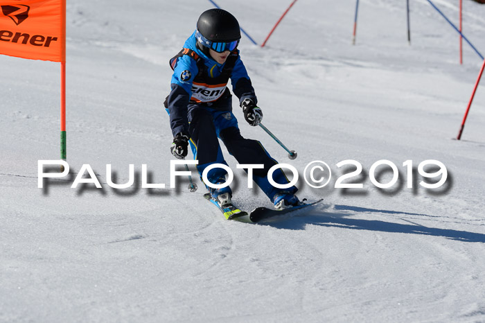 Ziener Cup WF,Finale, Quali + PSL, 30.03.2019