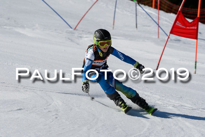 Ziener Cup WF,Finale, Quali + PSL, 30.03.2019