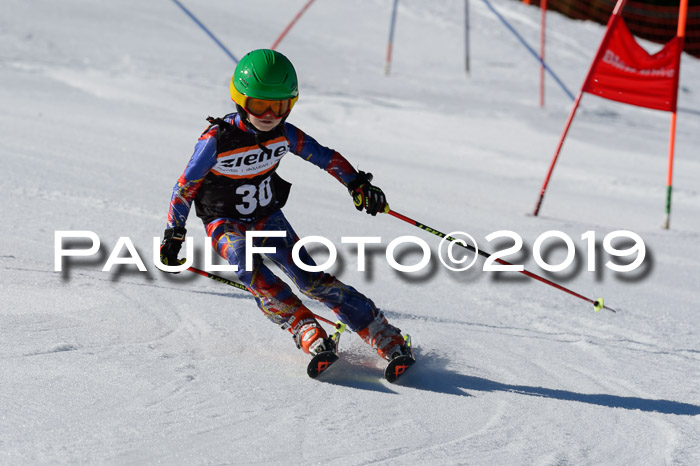 Ziener Cup WF,Finale, Quali + PSL, 30.03.2019