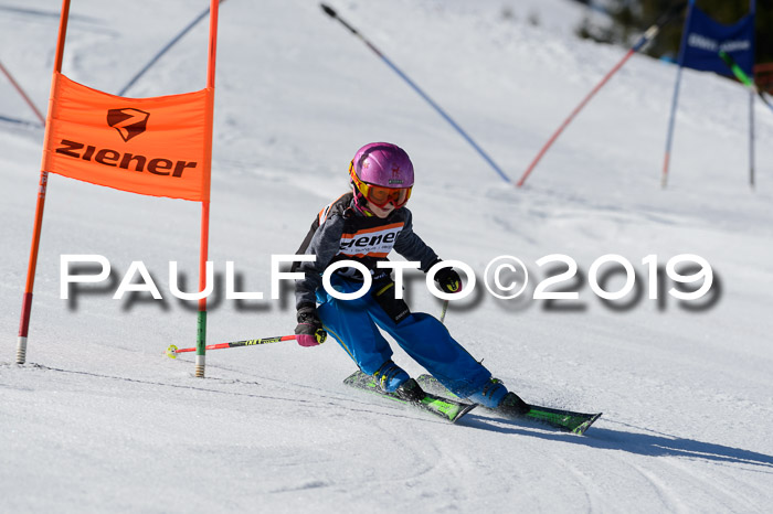 Ziener Cup WF,Finale, Quali + PSL, 30.03.2019