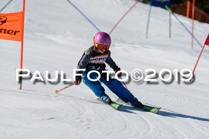 Ziener Cup WF,Finale, Quali + PSL, 30.03.2019