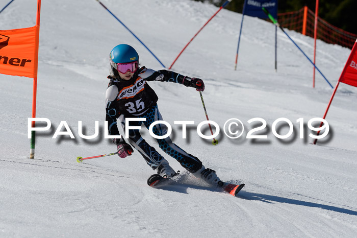 Ziener Cup WF,Finale, Quali + PSL, 30.03.2019