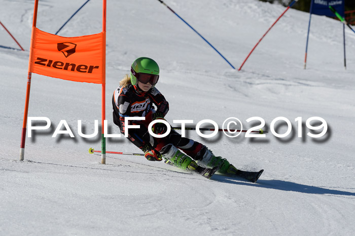 Ziener Cup WF,Finale, Quali + PSL, 30.03.2019