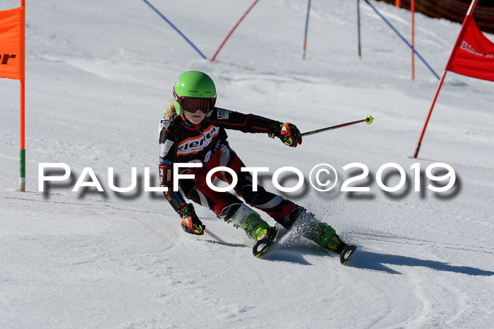 Ziener Cup WF,Finale, Quali + PSL, 30.03.2019