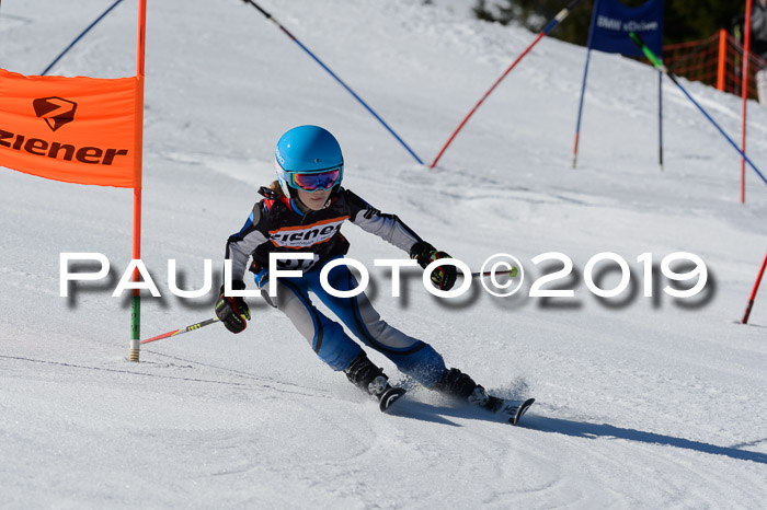 Ziener Cup WF,Finale, Quali + PSL, 30.03.2019