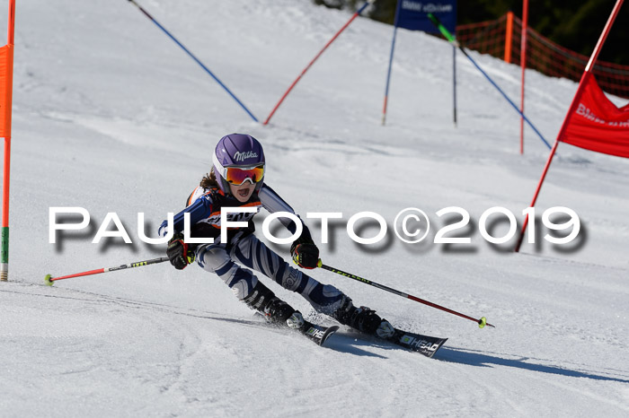 Ziener Cup WF,Finale, Quali + PSL, 30.03.2019