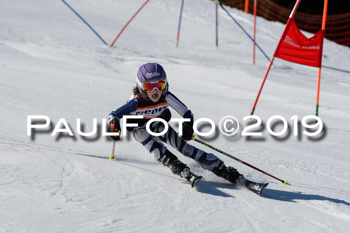 Ziener Cup WF,Finale, Quali + PSL, 30.03.2019