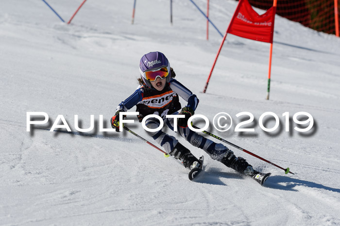 Ziener Cup WF,Finale, Quali + PSL, 30.03.2019