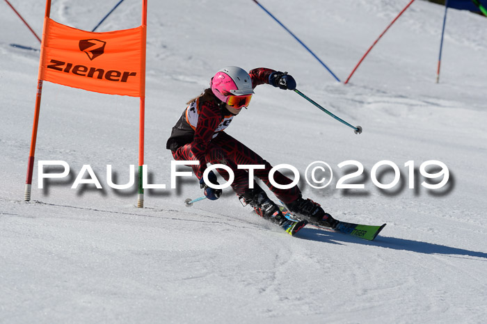 Ziener Cup WF,Finale, Quali + PSL, 30.03.2019