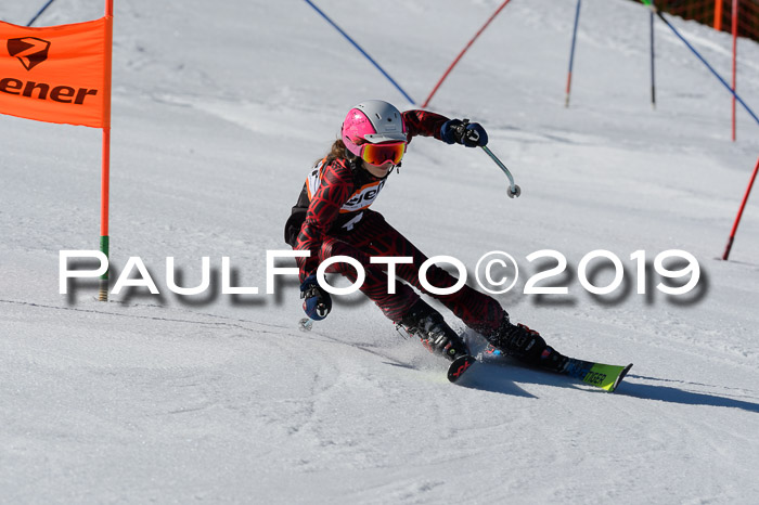 Ziener Cup WF,Finale, Quali + PSL, 30.03.2019