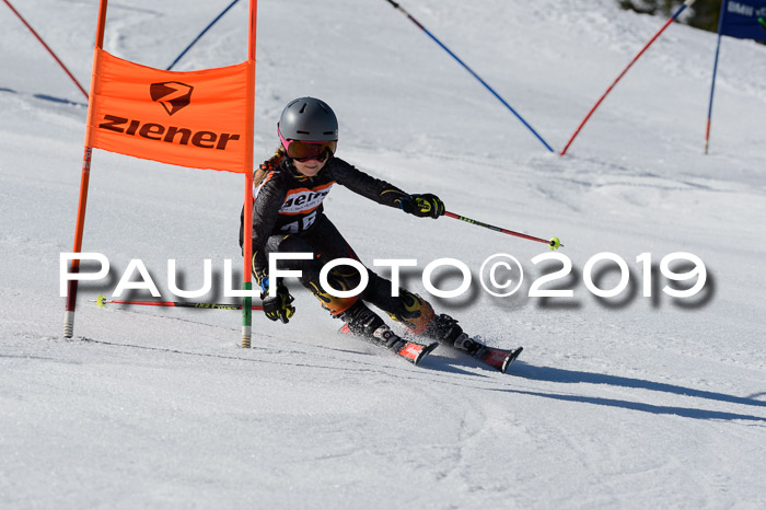 Ziener Cup WF,Finale, Quali + PSL, 30.03.2019