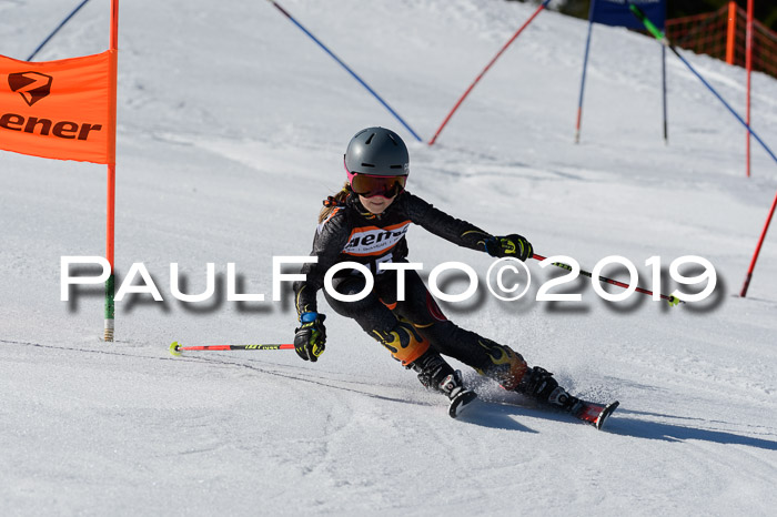Ziener Cup WF,Finale, Quali + PSL, 30.03.2019