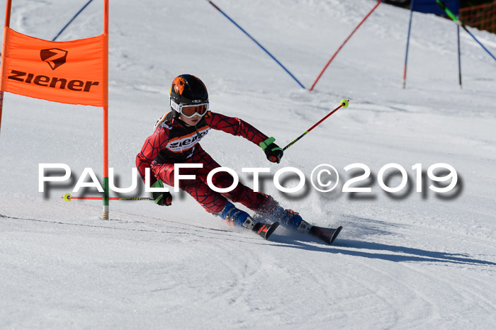 Ziener Cup WF,Finale, Quali + PSL, 30.03.2019