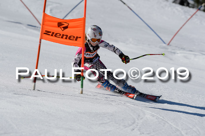 Ziener Cup WF,Finale, Quali + PSL, 30.03.2019
