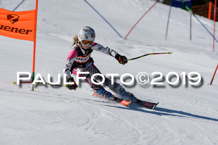 Ziener Cup WF,Finale, Quali + PSL, 30.03.2019
