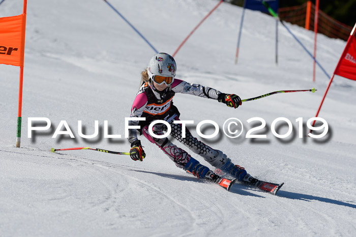 Ziener Cup WF,Finale, Quali + PSL, 30.03.2019