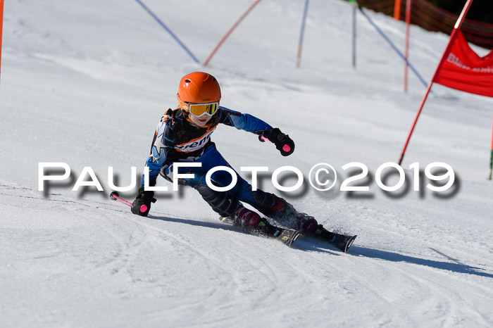 Ziener Cup WF,Finale, Quali + PSL, 30.03.2019