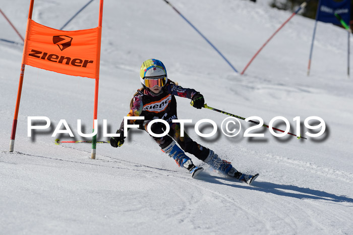 Ziener Cup WF,Finale, Quali + PSL, 30.03.2019