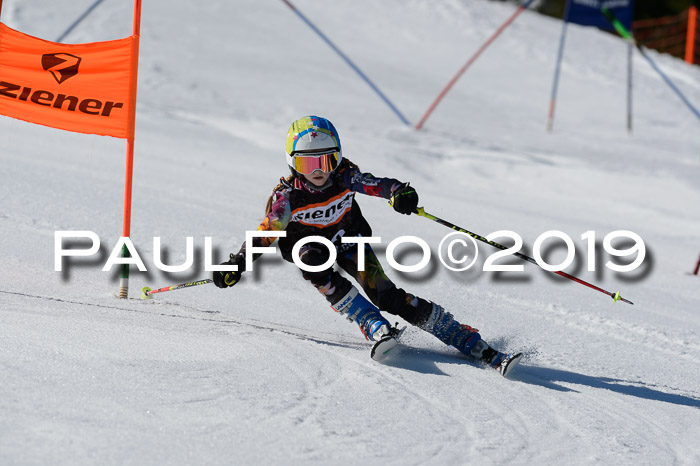 Ziener Cup WF,Finale, Quali + PSL, 30.03.2019