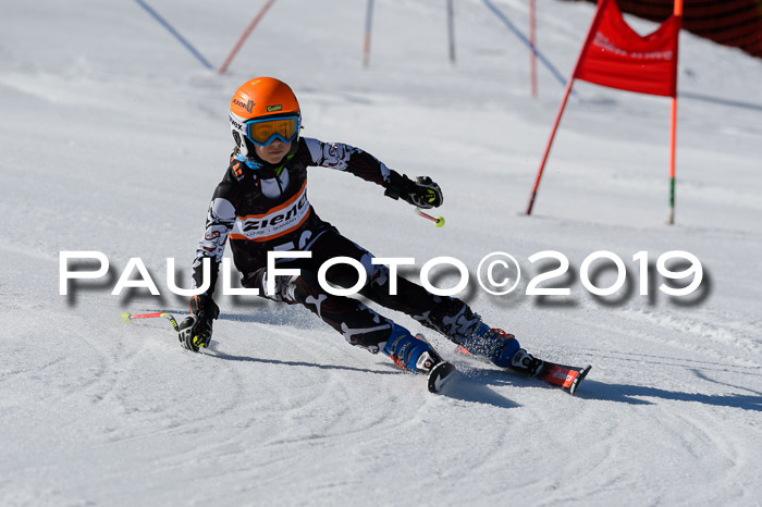 Ziener Cup WF,Finale, Quali + PSL, 30.03.2019