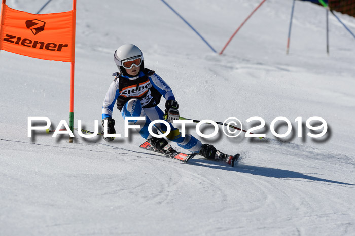 Ziener Cup WF,Finale, Quali + PSL, 30.03.2019