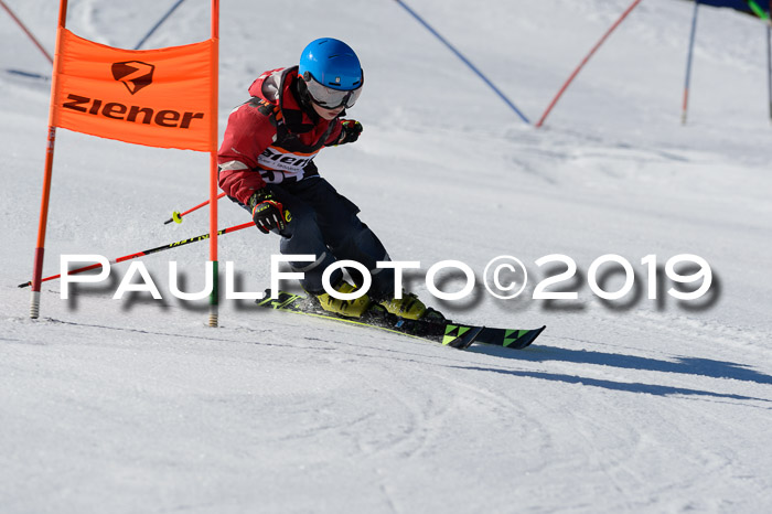 Ziener Cup WF,Finale, Quali + PSL, 30.03.2019