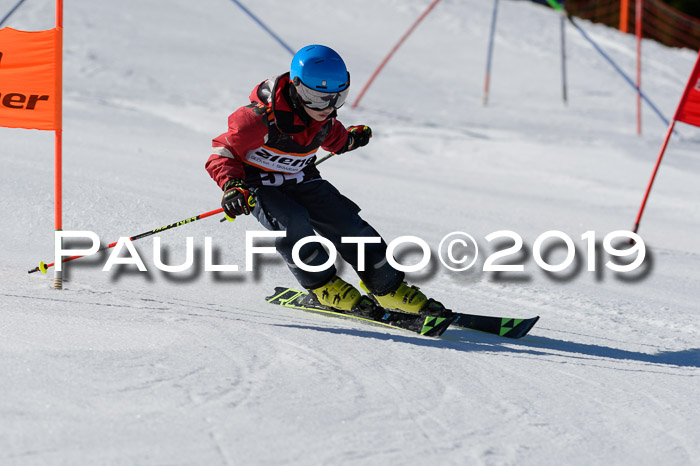 Ziener Cup WF,Finale, Quali + PSL, 30.03.2019