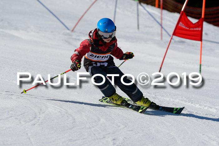 Ziener Cup WF,Finale, Quali + PSL, 30.03.2019