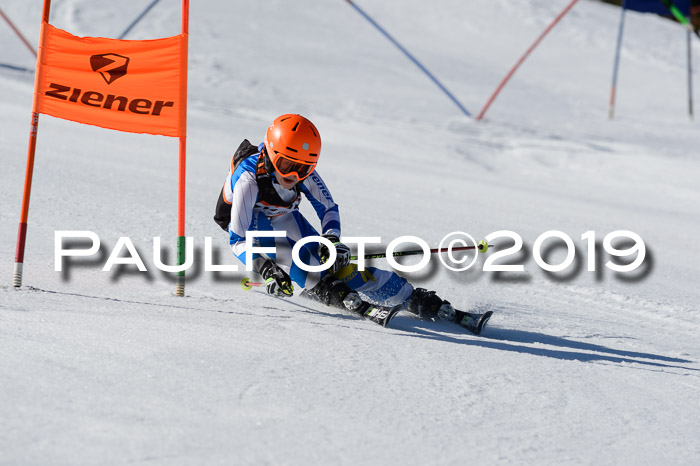 Ziener Cup WF,Finale, Quali + PSL, 30.03.2019