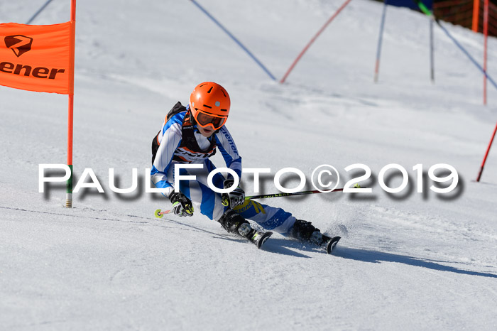 Ziener Cup WF,Finale, Quali + PSL, 30.03.2019