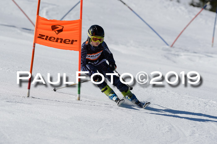 Ziener Cup WF,Finale, Quali + PSL, 30.03.2019