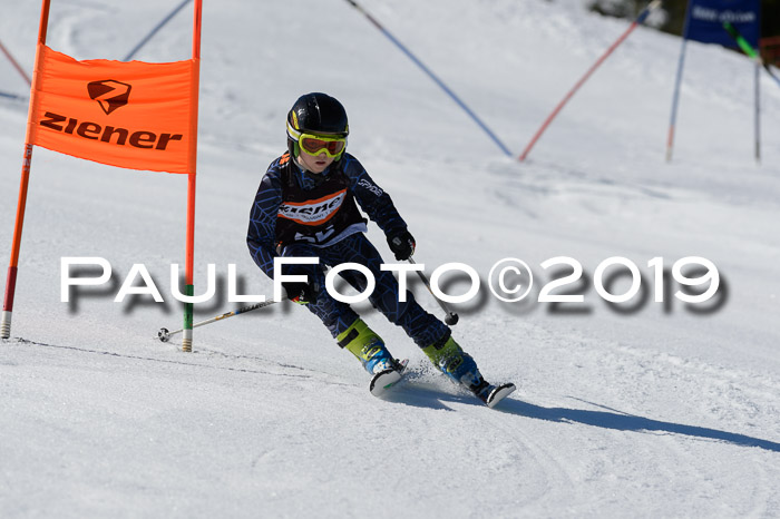 Ziener Cup WF,Finale, Quali + PSL, 30.03.2019