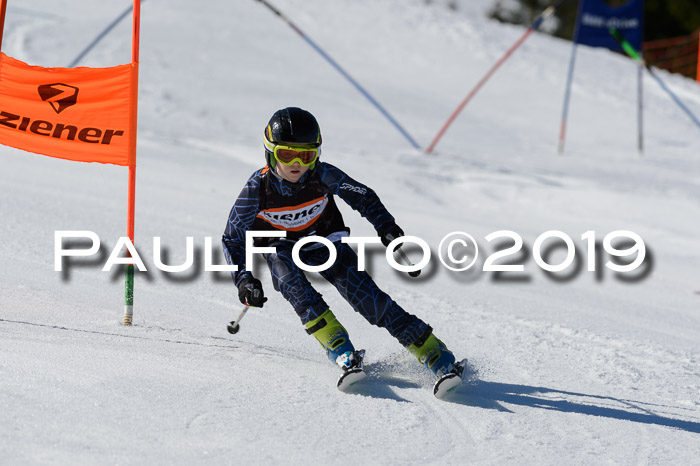 Ziener Cup WF,Finale, Quali + PSL, 30.03.2019