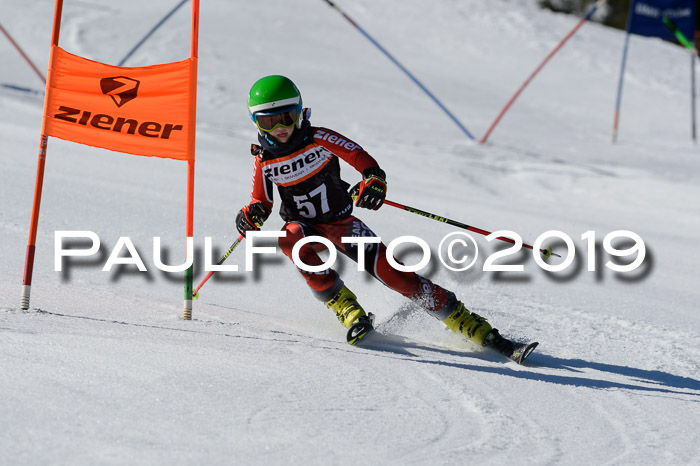 Ziener Cup WF,Finale, Quali + PSL, 30.03.2019