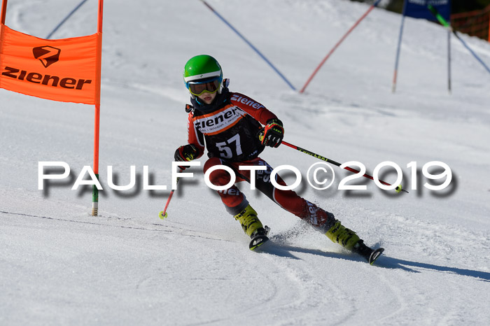 Ziener Cup WF,Finale, Quali + PSL, 30.03.2019