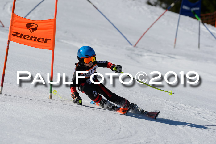 Ziener Cup WF,Finale, Quali + PSL, 30.03.2019