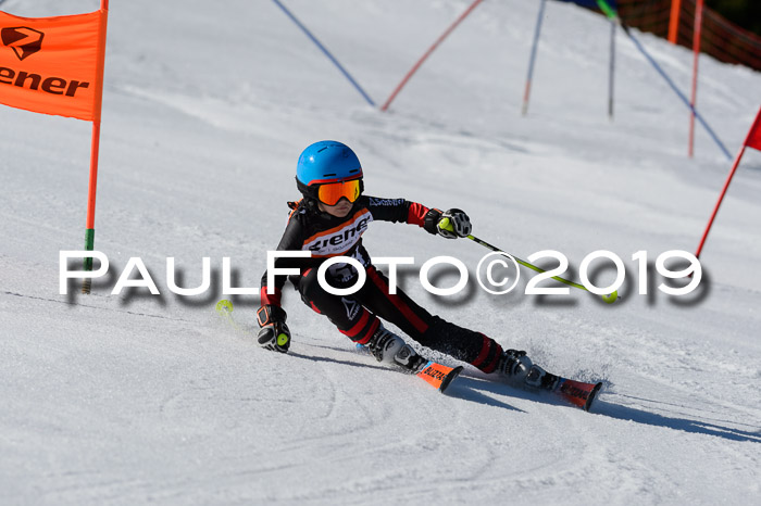 Ziener Cup WF,Finale, Quali + PSL, 30.03.2019