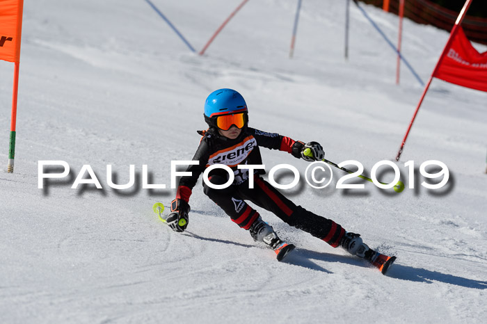 Ziener Cup WF,Finale, Quali + PSL, 30.03.2019
