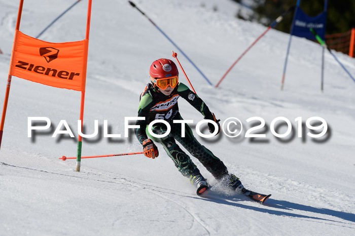 Ziener Cup WF,Finale, Quali + PSL, 30.03.2019
