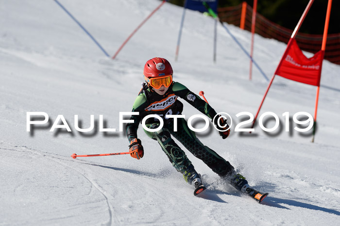 Ziener Cup WF,Finale, Quali + PSL, 30.03.2019