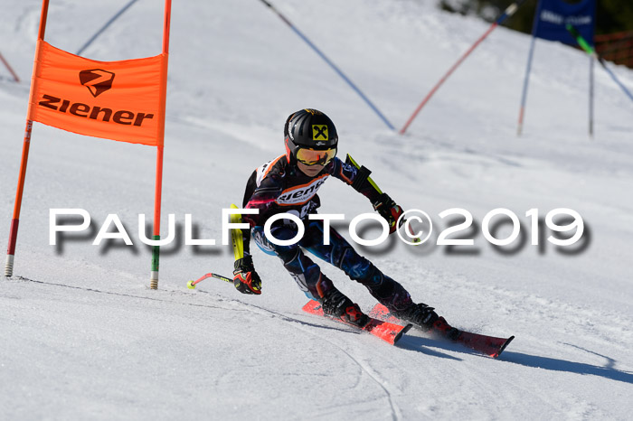 Ziener Cup WF,Finale, Quali + PSL, 30.03.2019
