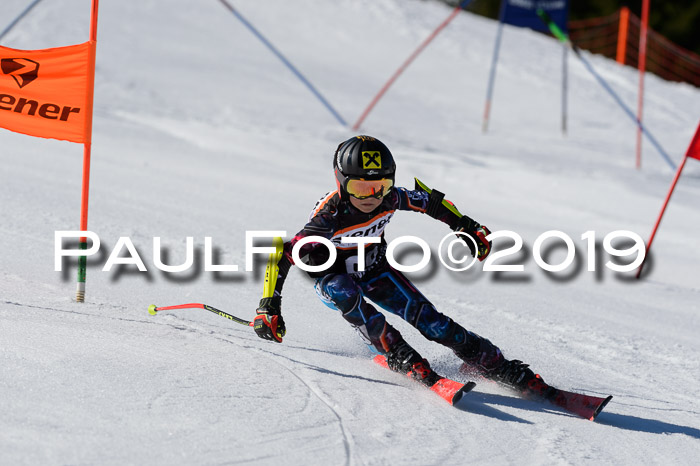 Ziener Cup WF,Finale, Quali + PSL, 30.03.2019