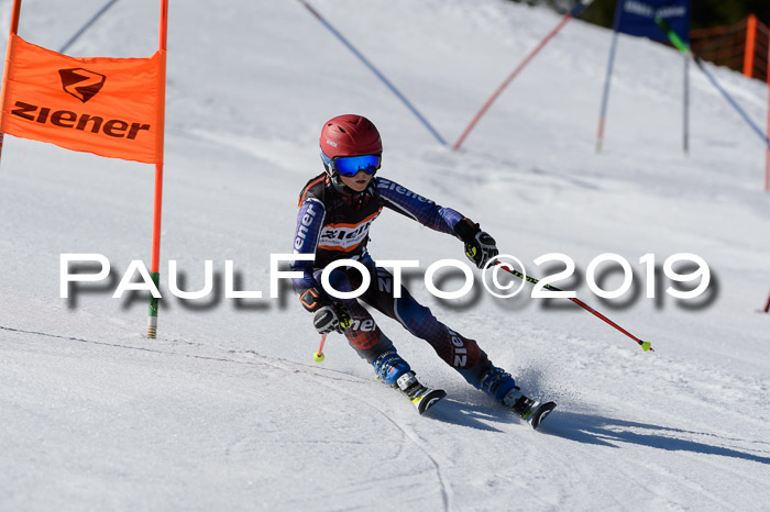 Ziener Cup WF,Finale, Quali + PSL, 30.03.2019