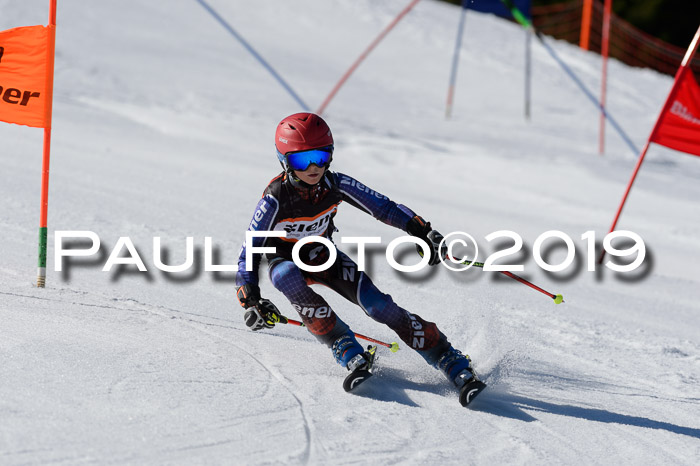 Ziener Cup WF,Finale, Quali + PSL, 30.03.2019
