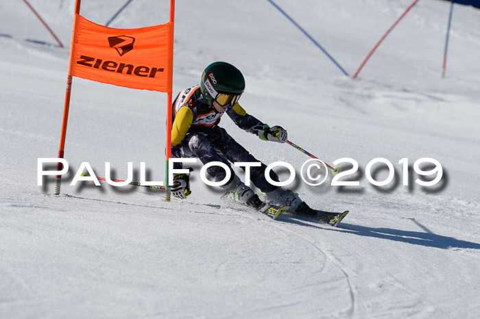 Ziener Cup WF,Finale, Quali + PSL, 30.03.2019