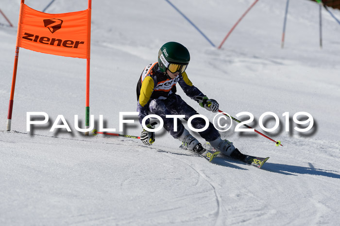 Ziener Cup WF,Finale, Quali + PSL, 30.03.2019