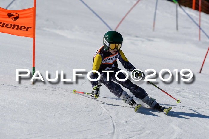 Ziener Cup WF,Finale, Quali + PSL, 30.03.2019